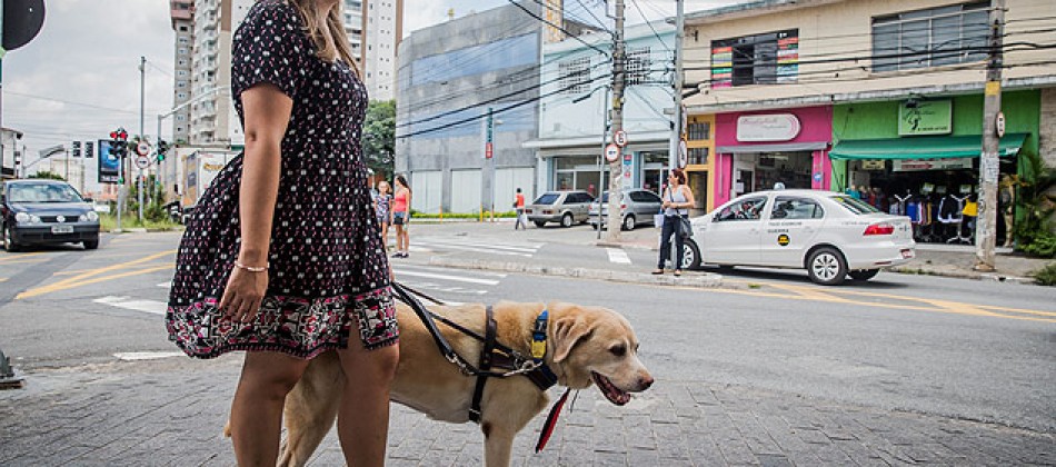 Mulher e seu cão guia: barrados no táxi