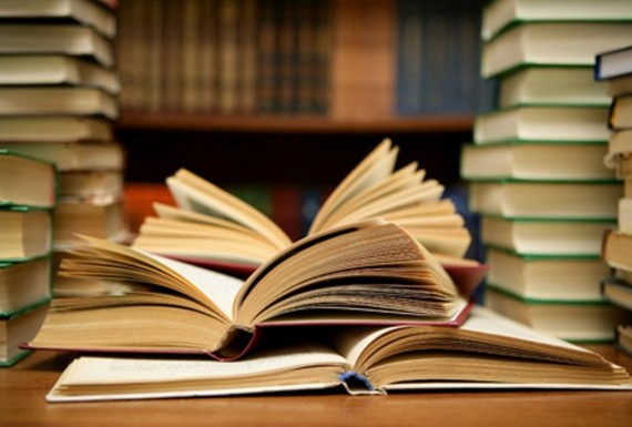 Seminário discute acessibilidade em bibliotecas públicas